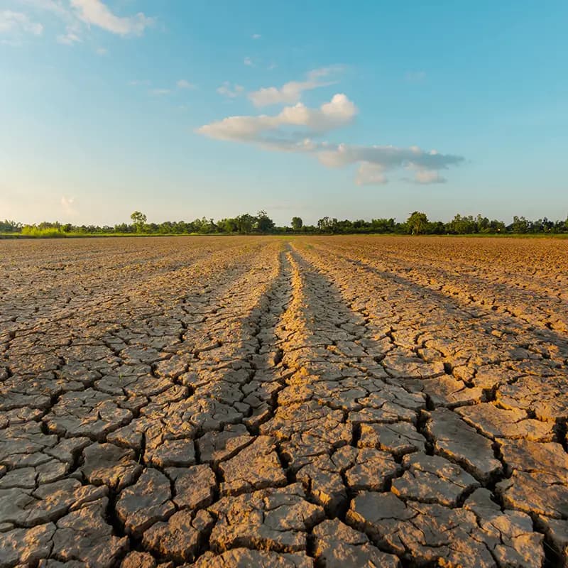 Klimaat & Duurzaamheid